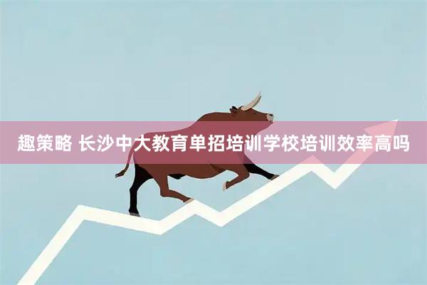 趣策略 长沙中大教育单招培训学校培训效率高吗