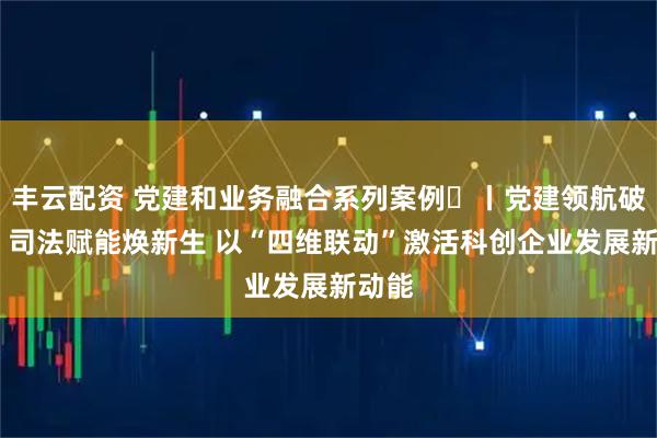 丰云配资 党建和业务融合系列案例⑪丨党建领航破困局 司法赋能焕新生 以“四维联动”激活科创企业发展新动能