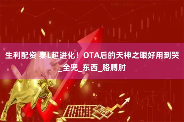 生利配资 秦L超进化!OTA后的天神之眼好用到哭_全兜_东西_胳膊肘