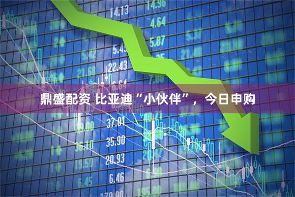 鼎盛配资 比亚迪“小伙伴”,今日申购